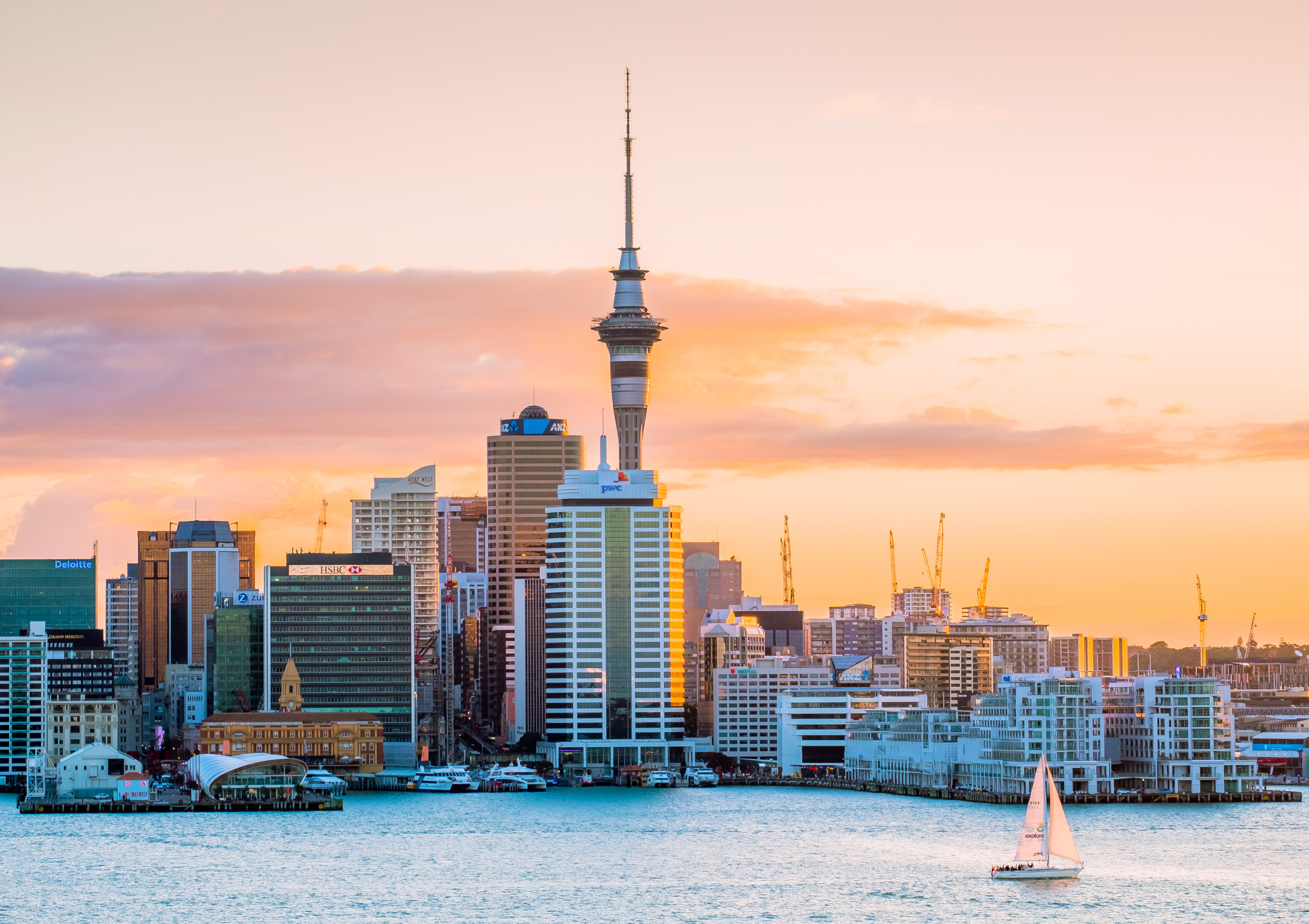 New Zealand Skyline